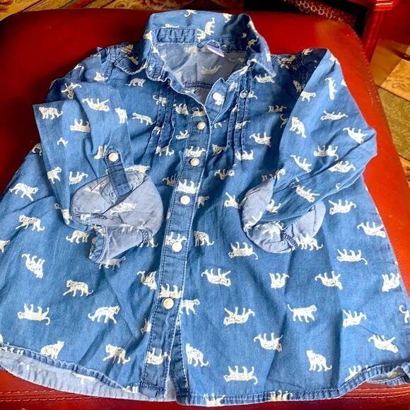 Girl’s Gymboree shirt size 10 - Picture 1 of 8